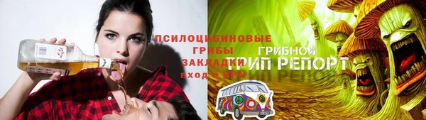 spice Баксан