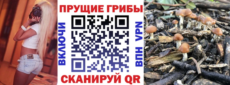 блэк спрут ССЫЛКА  купить   Новый Оскол  Псилоцибиновые грибы мухоморы 
